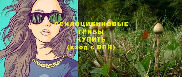 экстази Арсеньев