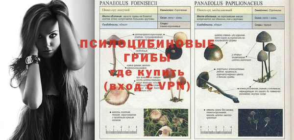 ГАЛЛЮЦИНОГЕННЫЕ ГРИБЫ Армянск