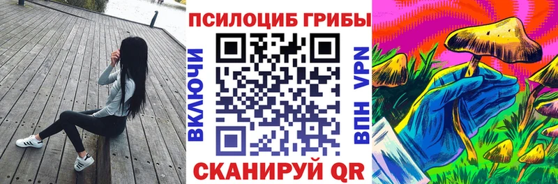 ссылка на мегу   Бийск  Галлюциногенные грибы Cubensis 